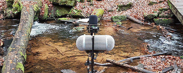 LCT 540 S best microphone for Foley Recording